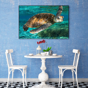 Turtle 50*40CM(Canvas) Full Round Drill Diamond Painting