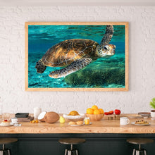 Load image into Gallery viewer, Turtle 50*40CM(Canvas) Full Round Drill Diamond Painting
