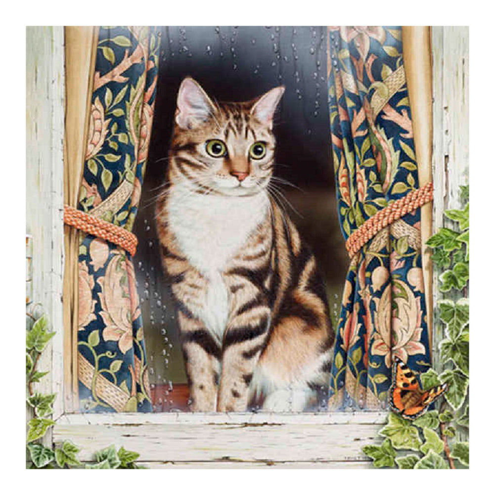 Kenyan Cat In The Window 40*40CM(Canvas) Full Round Drill Diamond Painting