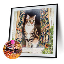 Load image into Gallery viewer, Kenyan Cat In The Window 40*40CM(Canvas) Full Round Drill Diamond Painting
