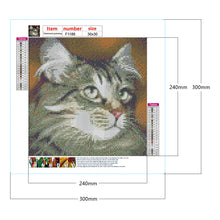 Load image into Gallery viewer, Big-Eyed Cat 30*30CM(Canvas) Full Square Drill Diamond Painting
