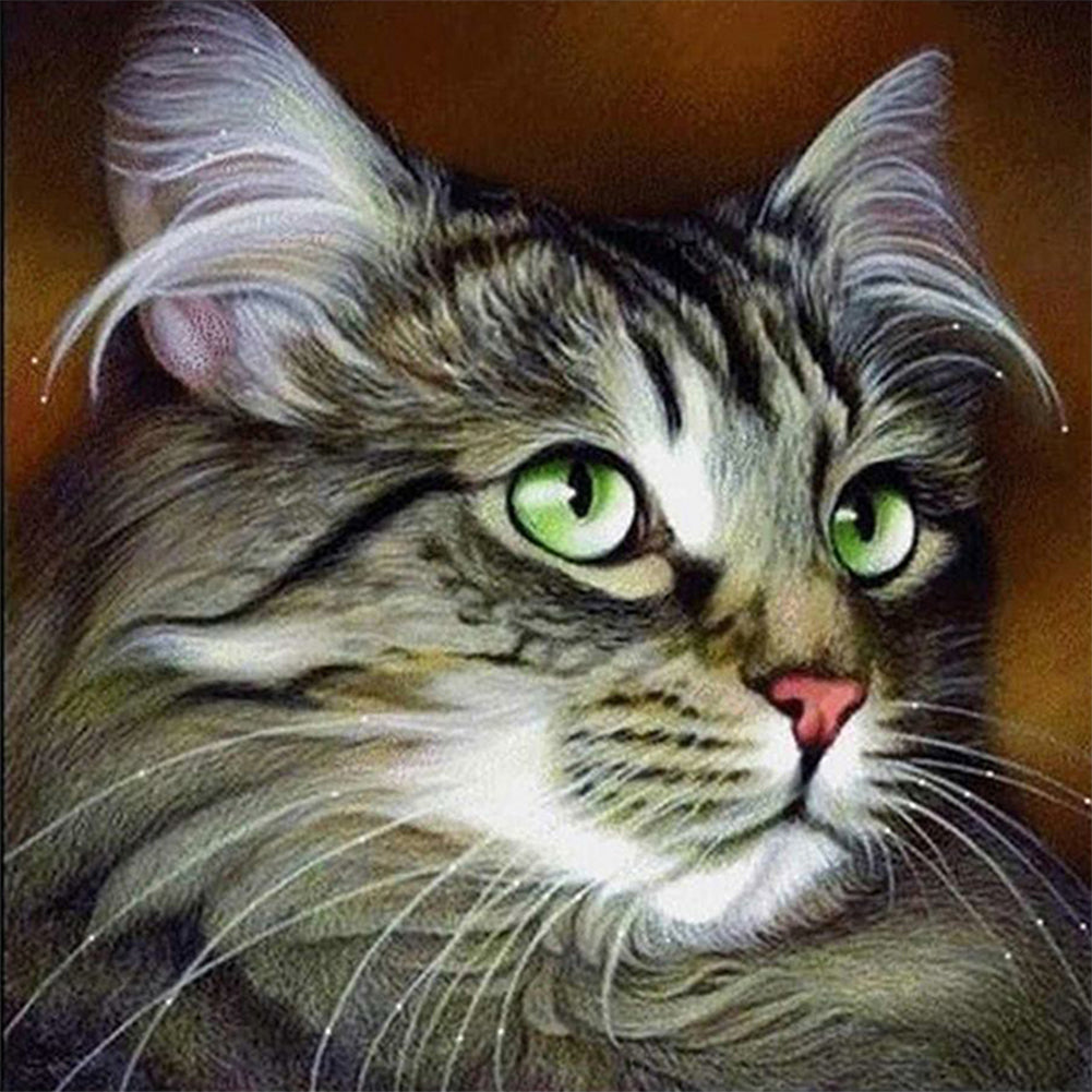 Big-Eyed Cat 30*30CM(Canvas) Full Square Drill Diamond Painting