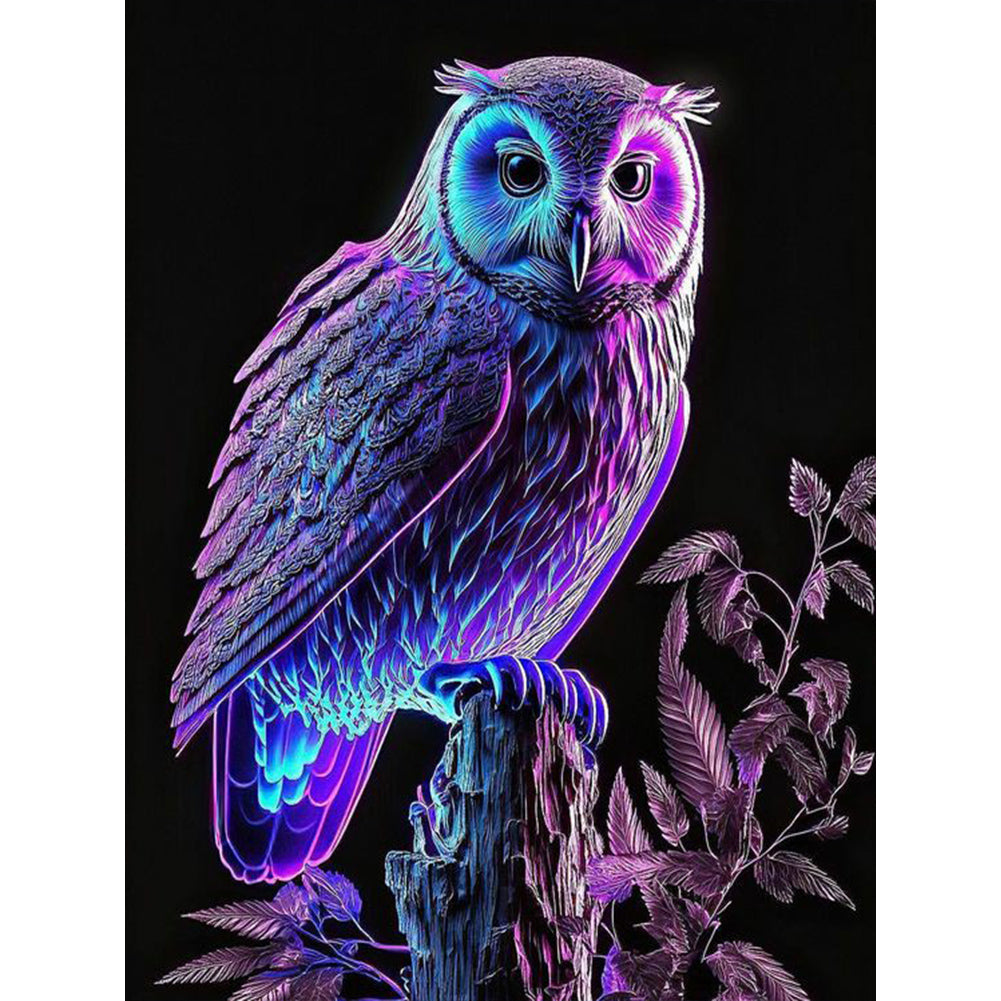 Luminous Owl 30*40CM(Canvas) Full Round Drill Diamond Painting