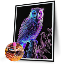 Load image into Gallery viewer, Luminous Owl 30*40CM(Canvas) Full Round Drill Diamond Painting
