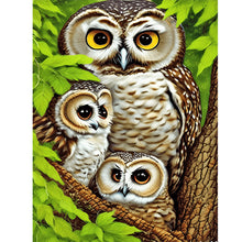 Load image into Gallery viewer, Brown Owl 30*40CM(Canvas) Full Round Drill Diamond Painting
