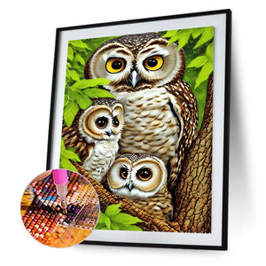 Brown Owl 30*40CM(Canvas) Full Round Drill Diamond Painting
