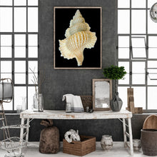 Load image into Gallery viewer, Seashells On The Beach 30*40CM(Canvas) Full Round Drill Diamond Painting
