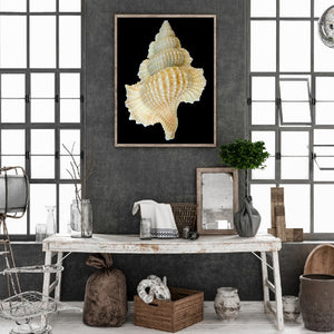 Seashells On The Beach 30*40CM(Canvas) Full Round Drill Diamond Painting