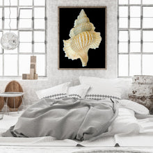 Load image into Gallery viewer, Seashells On The Beach 30*40CM(Canvas) Full Round Drill Diamond Painting
