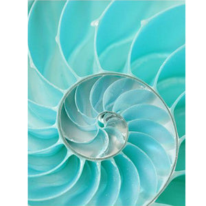 Nautilus Shell 30*40CM(Canvas) Full Round Drill Diamond Painting