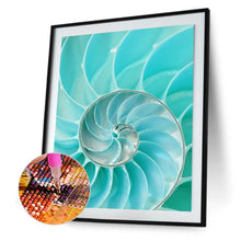 Load image into Gallery viewer, Nautilus Shell 30*40CM(Canvas) Full Round Drill Diamond Painting
