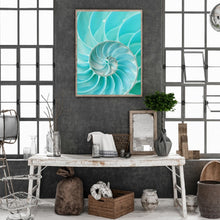 Load image into Gallery viewer, Nautilus Shell 30*40CM(Canvas) Full Round Drill Diamond Painting
