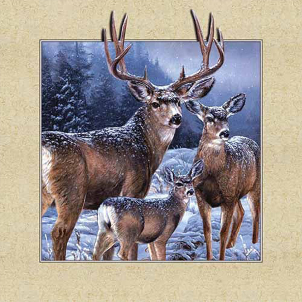 Framed Elk 35*35CM(Picture) Full Square Drill Diamond Painting