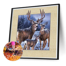 Load image into Gallery viewer, Framed Elk 35*35CM(Picture) Full Square Drill Diamond Painting
