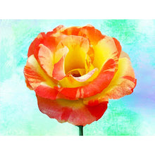 Load image into Gallery viewer, Yellow Rose 40*30CM(Canvas) Full Round Drill Diamond Painting
