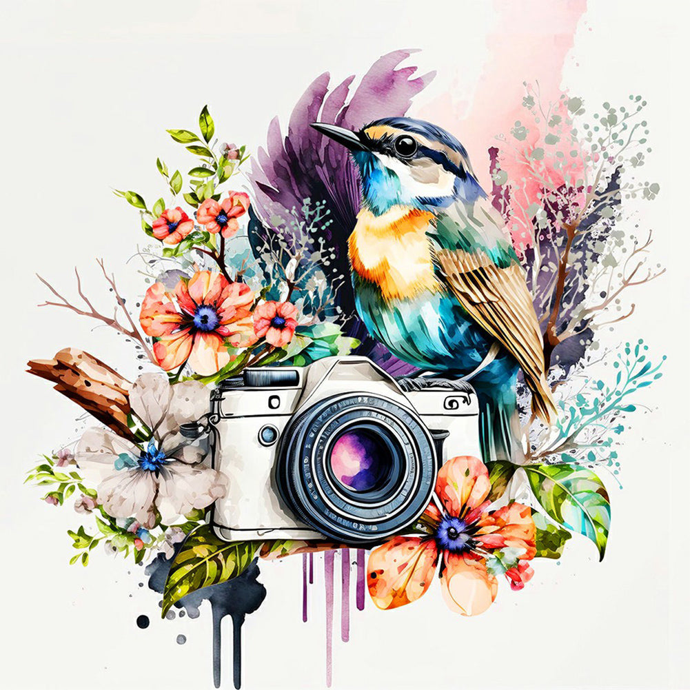 Camera And Birds 30*30CM(Canvas) Full Round Drill Diamond Painting