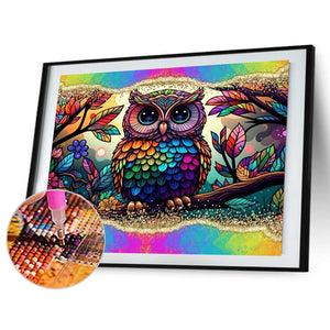 Owl With Rainbow Border 40*30CM(Canvas) Full Round Drill Diamond Painting