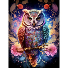 Load image into Gallery viewer, Owl 30*40CM(Picture) Partial AB Full Square Drill Diamond Painting
