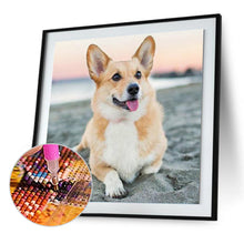 Load image into Gallery viewer, Dog 30*30CM(Canvas) Full Round Drill Diamond Painting

