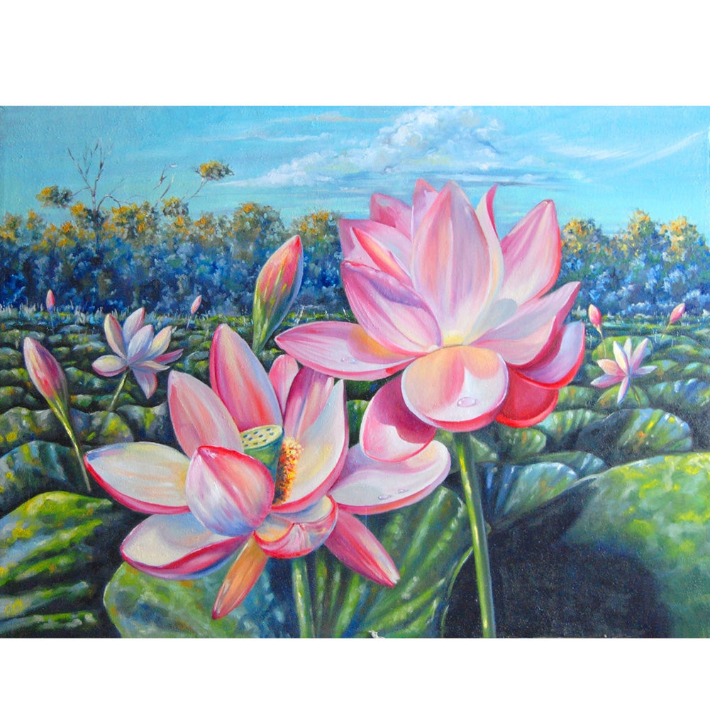 DIY - Lotus - 40*50CM 11CT 3 Stamped Cross Stitch