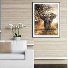 Load image into Gallery viewer, Elephant 50*60CM(Canvas) Full Round Drill Diamond Painting
