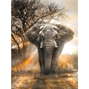 Elephant 50*60CM(Canvas) Full Round Drill Diamond Painting