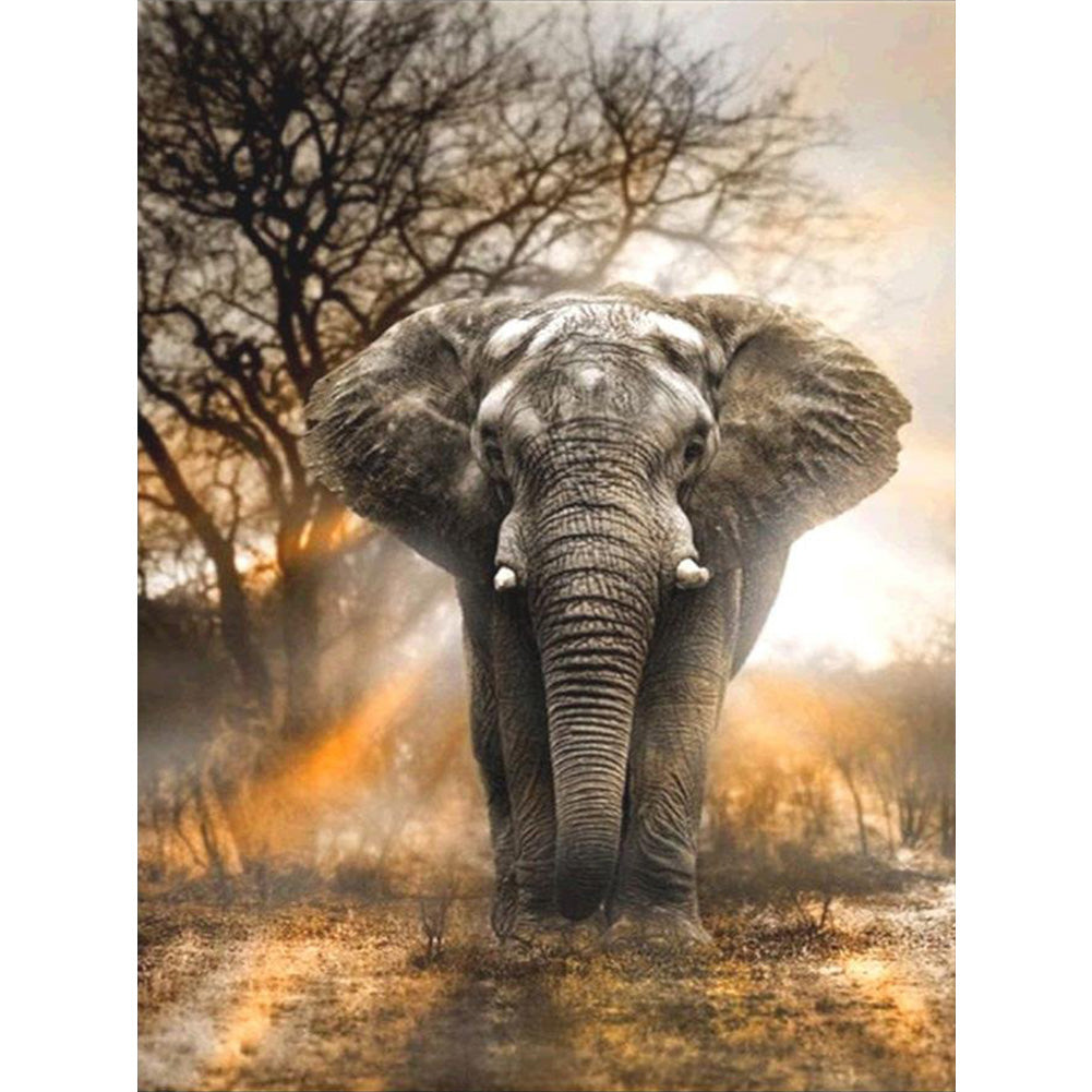 Elephant 50*60CM(Canvas) Full Round Drill Diamond Painting