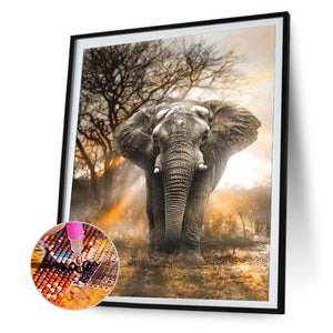 Elephant 50*60CM(Canvas) Full Round Drill Diamond Painting