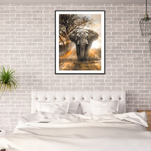 Elephant 50*60CM(Canvas) Full Round Drill Diamond Painting