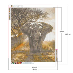 Elephant 50*60CM(Canvas) Full Round Drill Diamond Painting