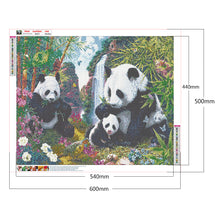 Load image into Gallery viewer, Giant Panda 60*50CM(Canvas) Full Round Drill Diamond Painting
