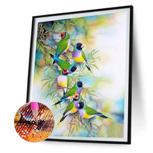 Load image into Gallery viewer, Bird 40*50CM(Canvas) Full Round Drill Diamond Painting
