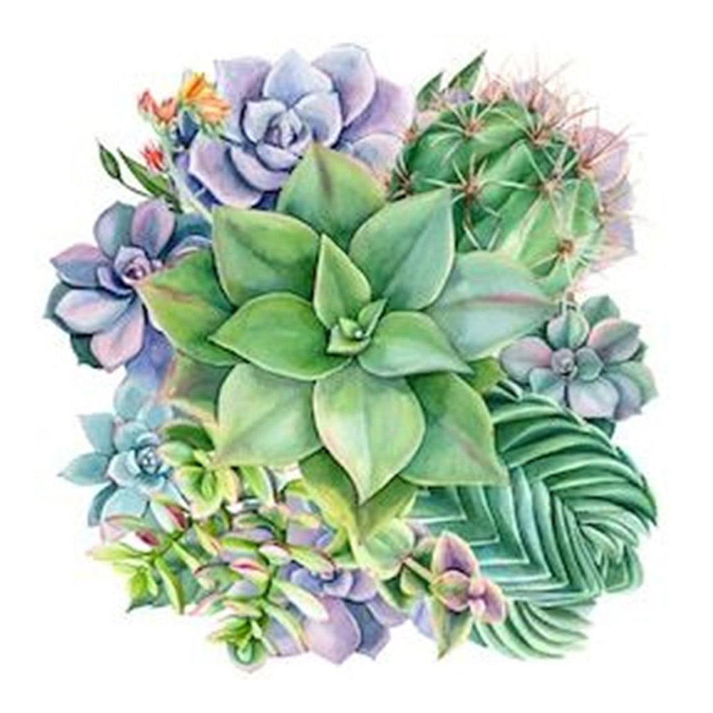 Succulents 50*50CM(Picture) Full Square Drill Diamond Painting
