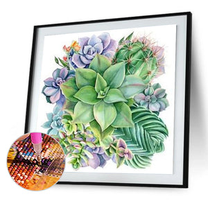 Succulents 50*50CM(Picture) Full Square Drill Diamond Painting