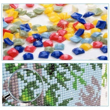 Load image into Gallery viewer, Succulents 50*50CM(Picture) Full Square Drill Diamond Painting
