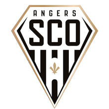 Load image into Gallery viewer, Yishu - Angers Football Club - 40*50CM 11CT 3 Stamped Cross Stitch

