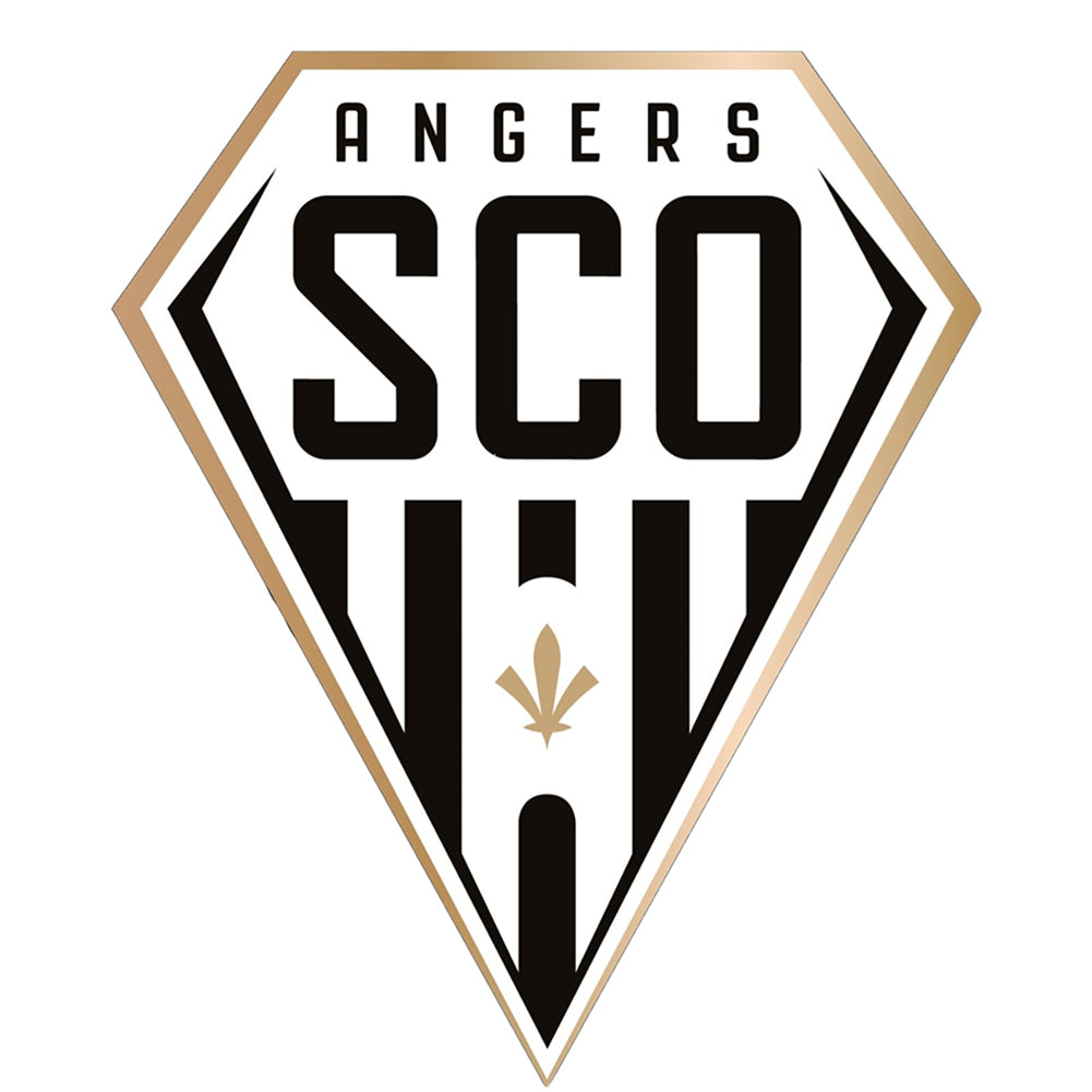 Yishu - Angers Football Club - 40*50CM 11CT 3 Stamped Cross Stitch