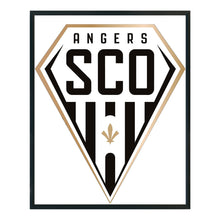 Load image into Gallery viewer, Yishu - Angers Football Club - 40*50CM 11CT 3 Stamped Cross Stitch
