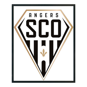 Yishu - Angers Football Club - 40*50CM 11CT 3 Stamped Cross Stitch