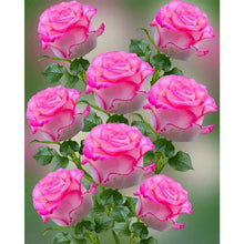 Load image into Gallery viewer, Rose 50*60CM(Canvas) Full Round Drill Diamond Painting
