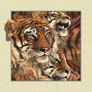 3D Tiger Outside The Frame 30*30CM(Canvas) Full Round Drill Diamond Painting