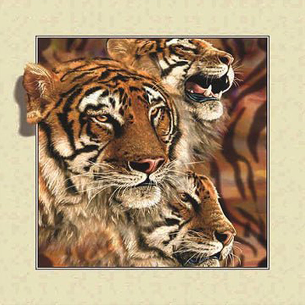 3D Tiger Outside The Frame 30*30CM(Canvas) Full Round Drill Diamond Painting