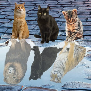 Cat'S Reflection In The Water 40*40CM(Canvas) Full Round Drill Diamond Painting
