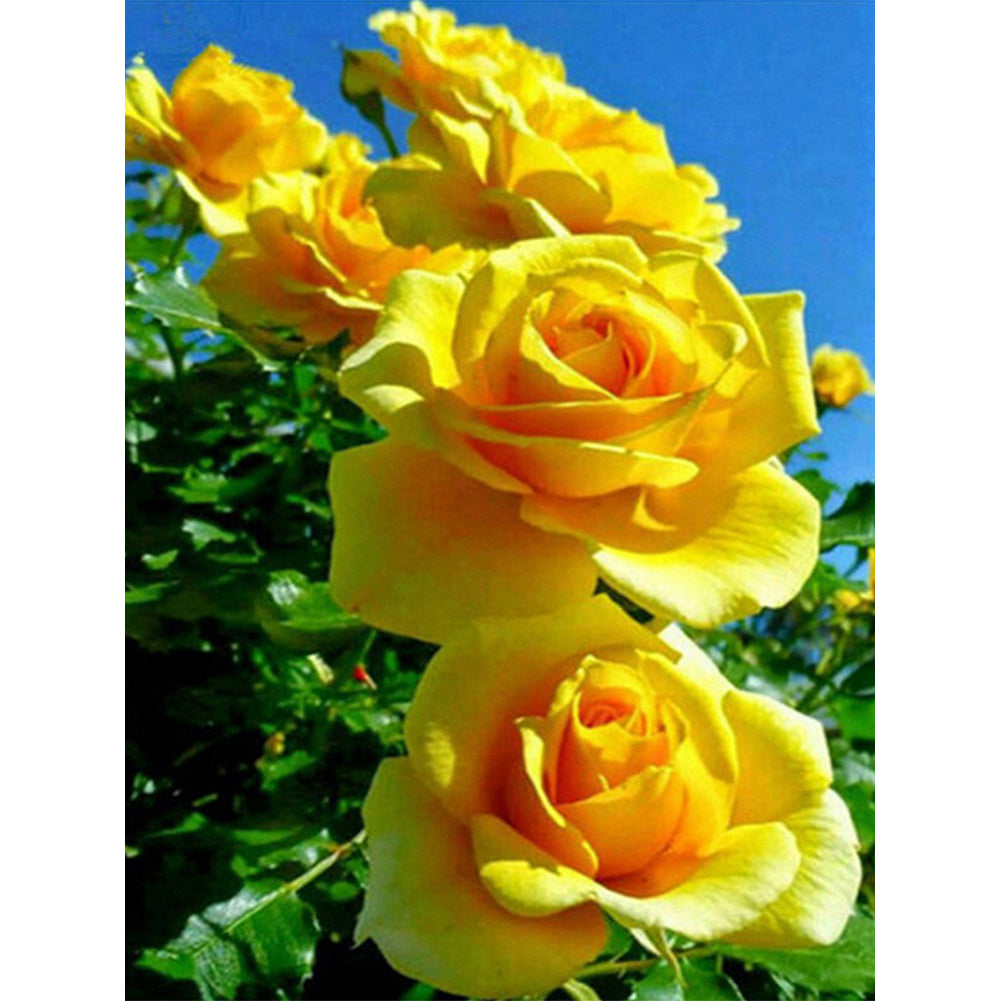 Yellow Rose 40*50CM(Canvas) Full Round Drill Diamond Painting