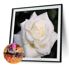 Load image into Gallery viewer, White Roses 40*40CM(Canvas) Full Round Drill Diamond Painting

