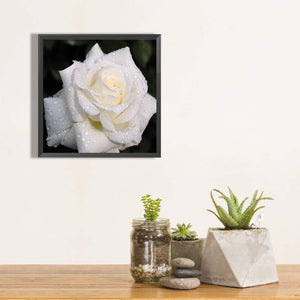 White Roses 40*40CM(Canvas) Full Round Drill Diamond Painting