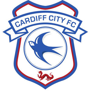 Cardiff City Football Club 35*35CM(Canvas) Full Round Drill Diamond Painting