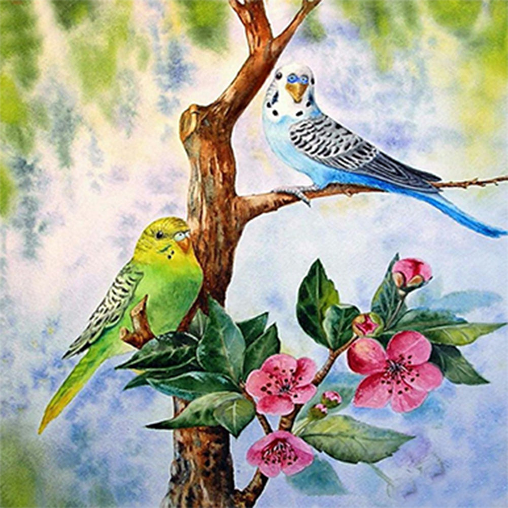 Budgie 50*50CM(Canvas) Full Round Drill Diamond Painting
