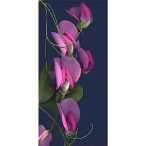 Phalaenopsis Orchid 40*80CM(Canvas) Full Round Drill Diamond Painting