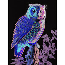 Load image into Gallery viewer, Owl 30*40CM(Canvas) Partial Special Shaped Drill Diamond Painting

